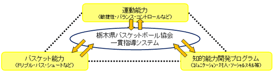 栃木県バスケットボール協会一貫指導システム