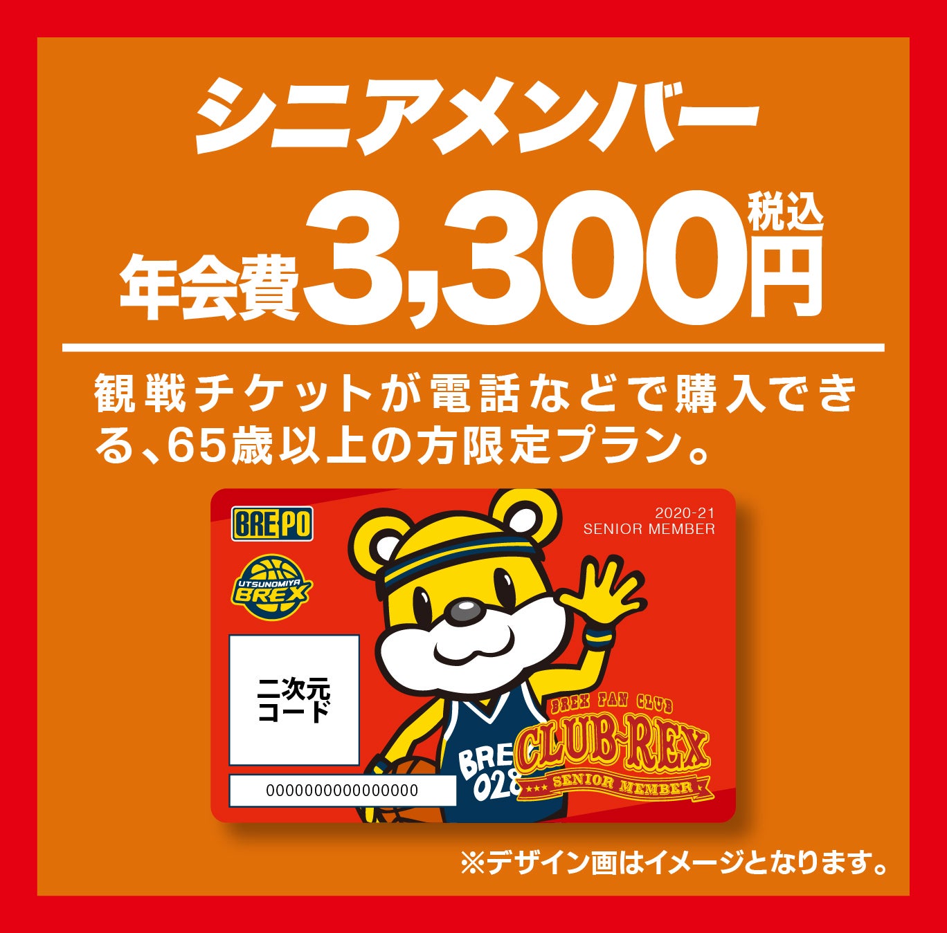 シニアメンバー