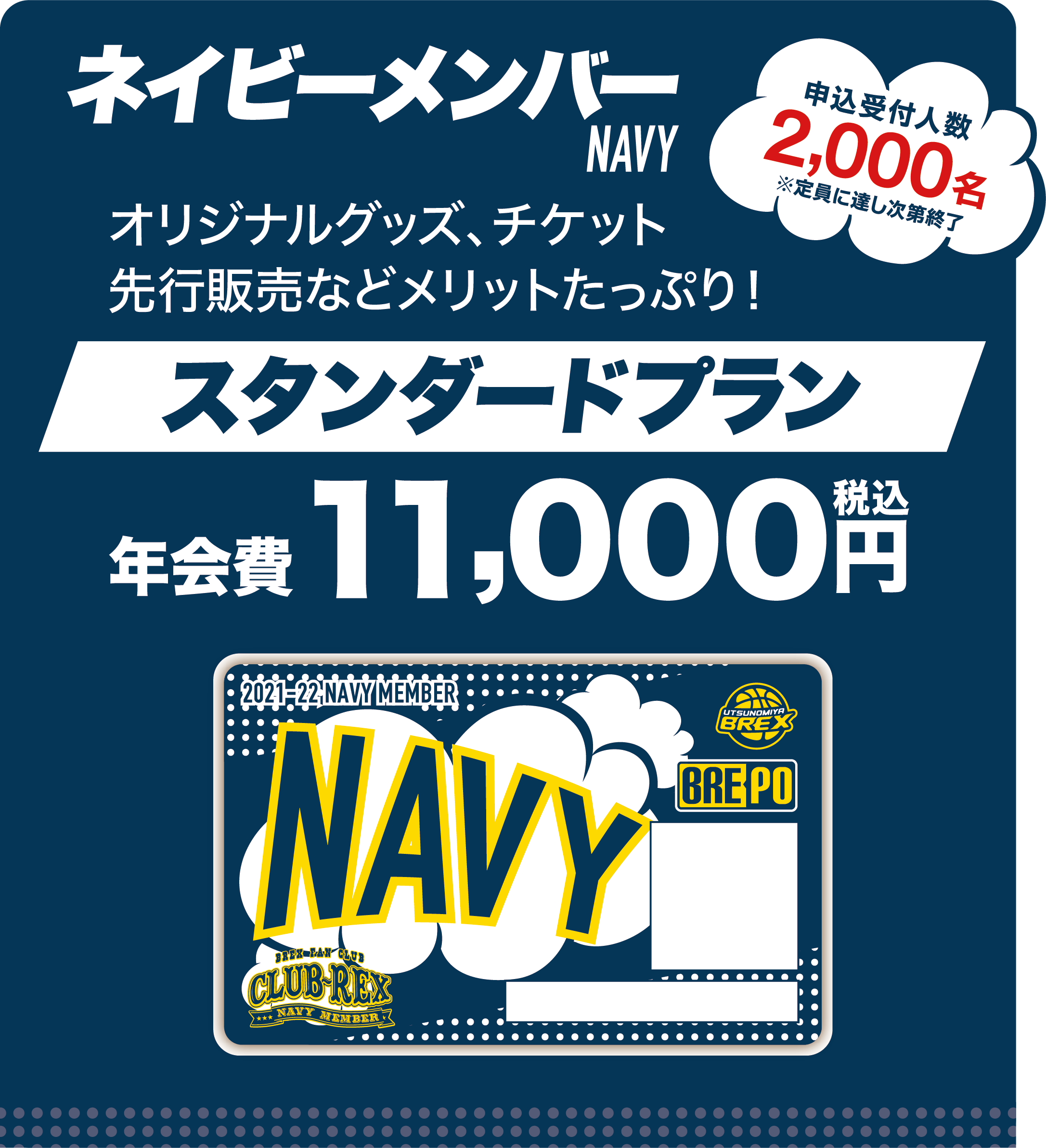 ネイビー