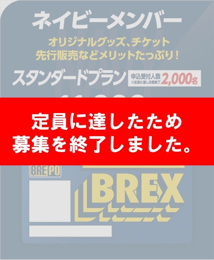 ネイビー