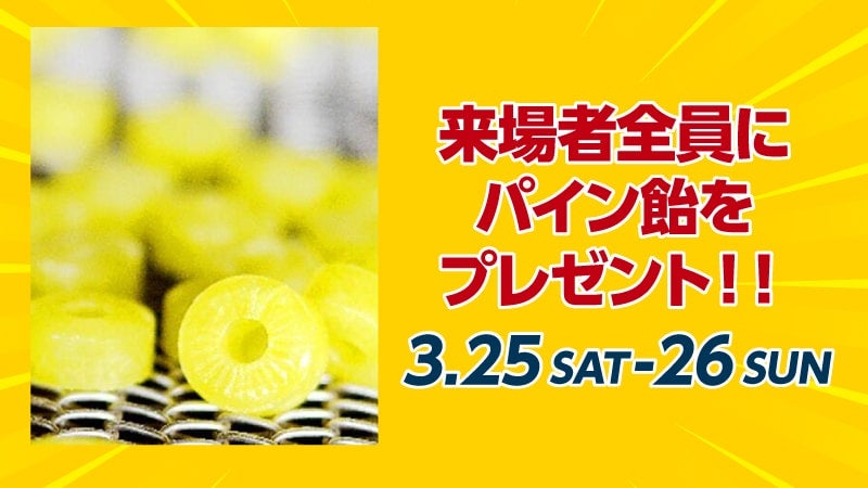 来場者全員にパイン飴、プレゼント！！